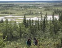 Canada plus grand que nature : Parc Wood Buffalo (1ere partie)