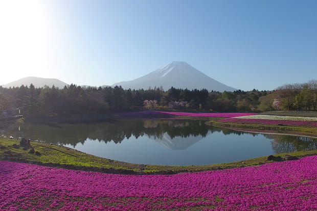 Ces 20 perles du Japon : Le mont Fuji