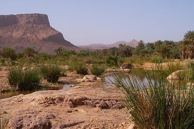 Oasis de Djanet