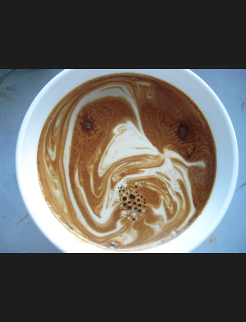 Une oie dans le caf&eacute;