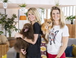 Animaux à adopter : nouvelle famille pour une nouvelle vie