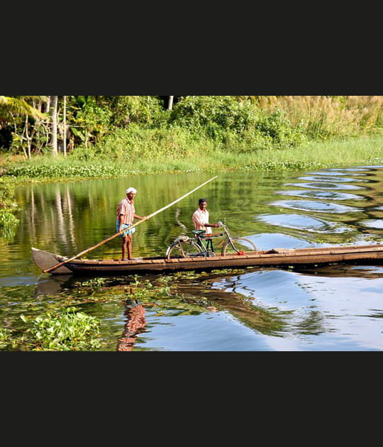 Pirogue dans le Kerala