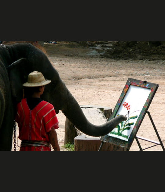 Un cours de peinture original