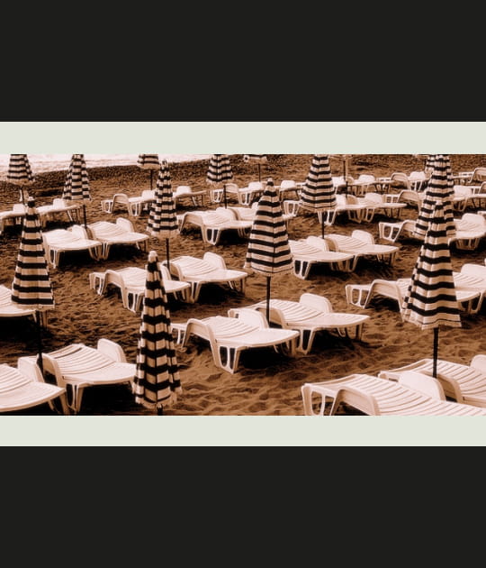Parasols et chaises longues