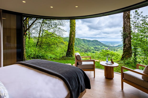 Une vue apaisante sur la nature