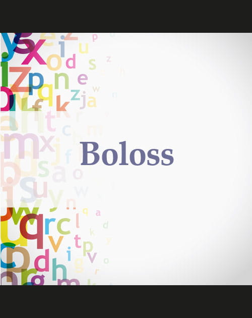 Boloss
