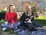 Animaux à adopter : nouvelle famille pour une nouvelle vie