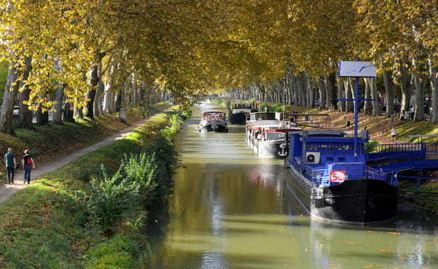Le Canal du midi