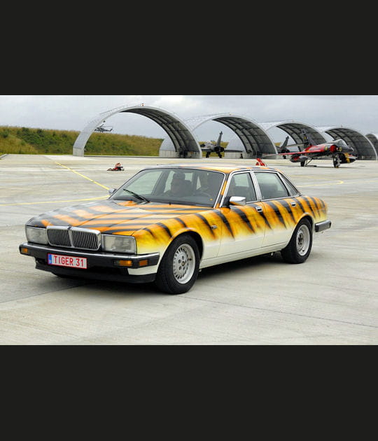 Le tigre, c'est chic