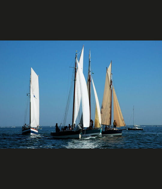 Bacs &agrave; voile