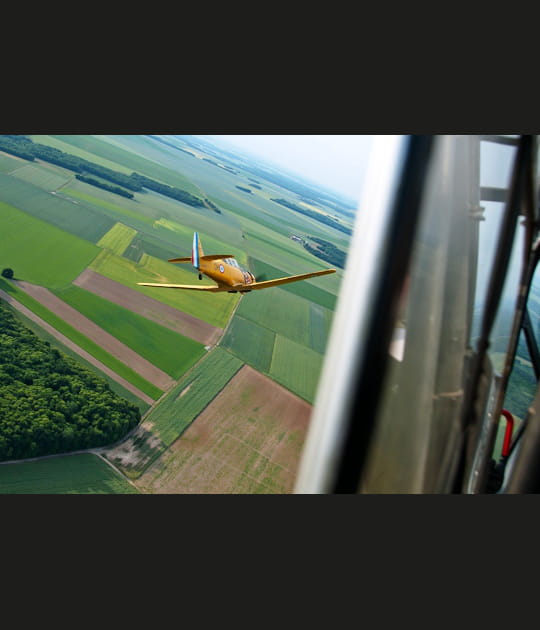 &quot;Dog fight&quot;