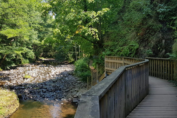 Le long des gorges de la Jordanne