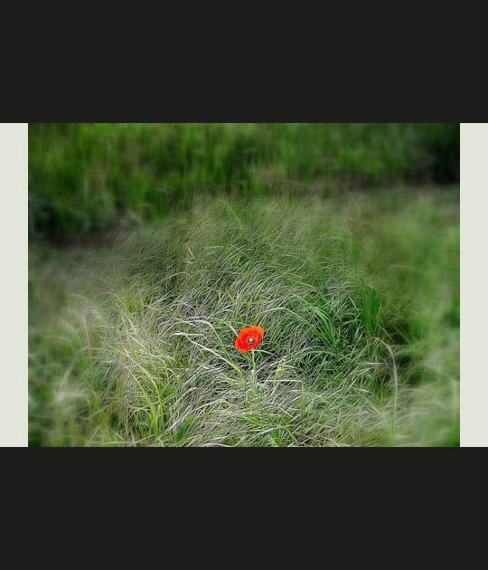 Les exp&eacute;riences photographiques de Jean-Pierre Tolomio