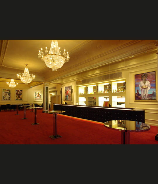 Le foyer Palace