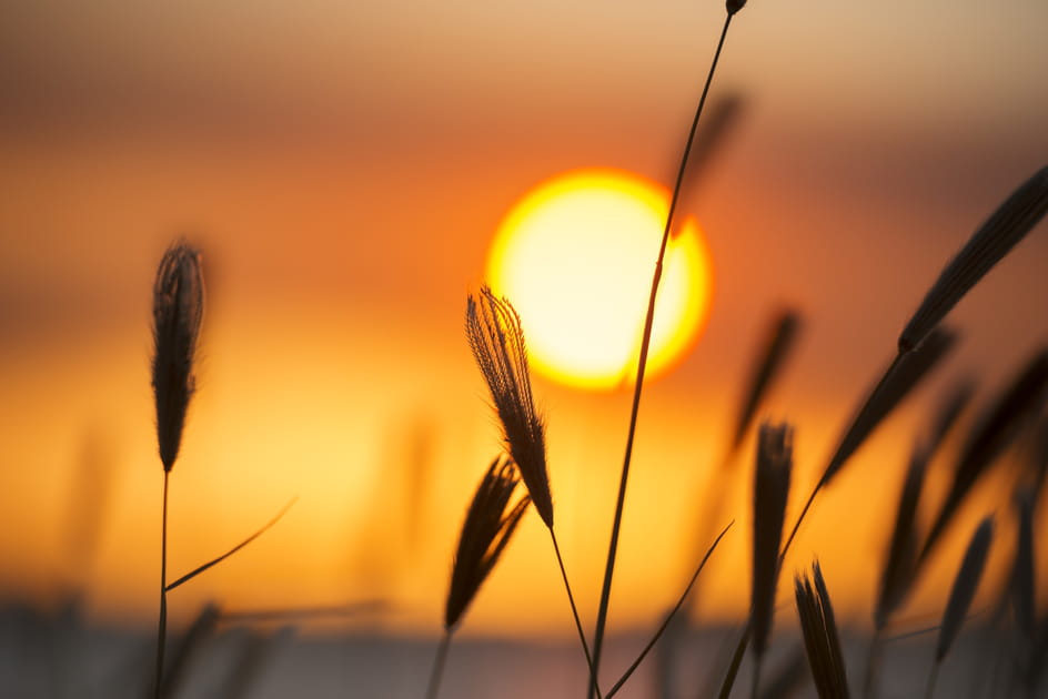 Au coucher du soleil