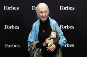 Mort de Jane Goodall &agrave; 91&nbsp;ans&nbsp;: qui &eacute;tait cette chercheuse qui a &quot;r&eacute;volutionn&eacute; la science&quot;&nbsp;?