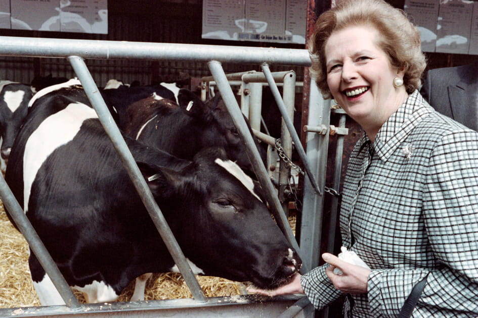 Avec l'Europe, l'amour vache