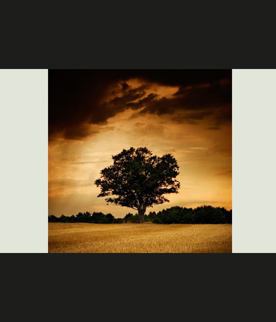 Arbre