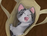 Chi mon chaton