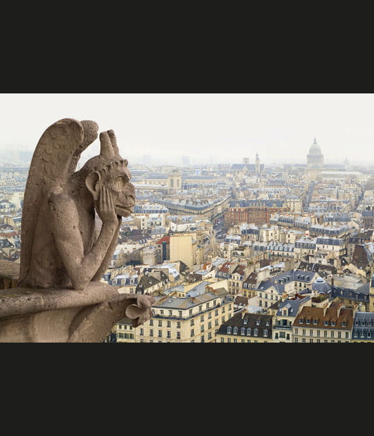 Chim&egrave;re contemplative &agrave; Paris