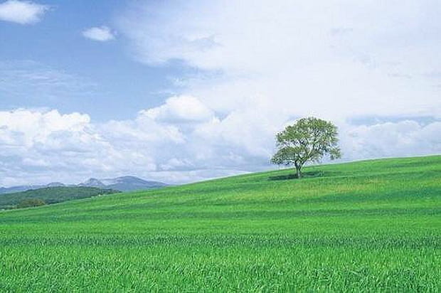 Douceur toscane