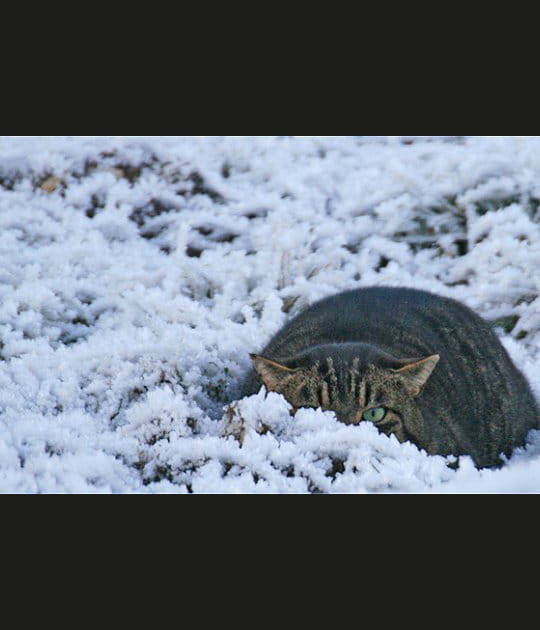En plein hiver