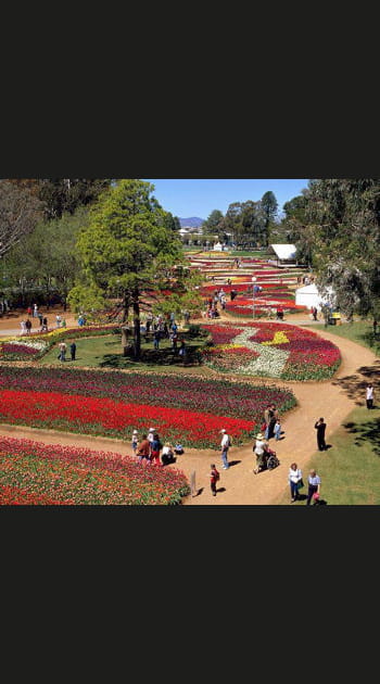 D&eacute;couvrez&nbsp;le&nbsp;plus&nbsp;grand&nbsp;festival&nbsp;de&nbsp;fleurs&nbsp;d'Australie