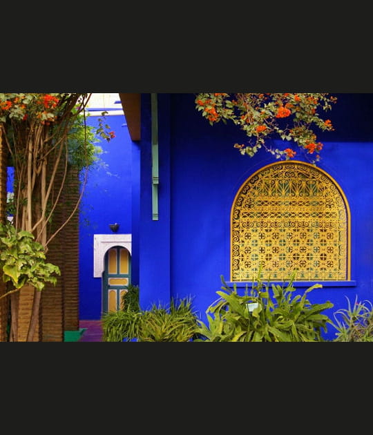 Dans le fabuleux jardin botanique de Majorelle