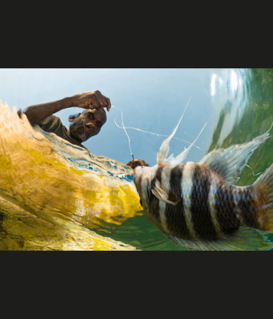 &Ccedil;a mord&nbsp;!