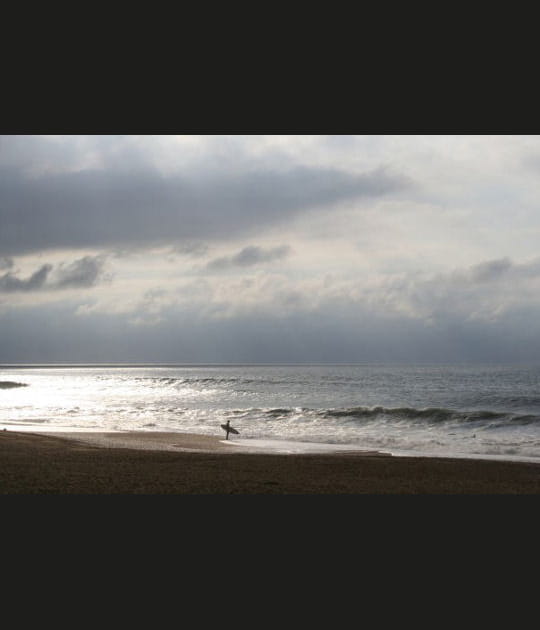 Festivals et championnat du monde de surf