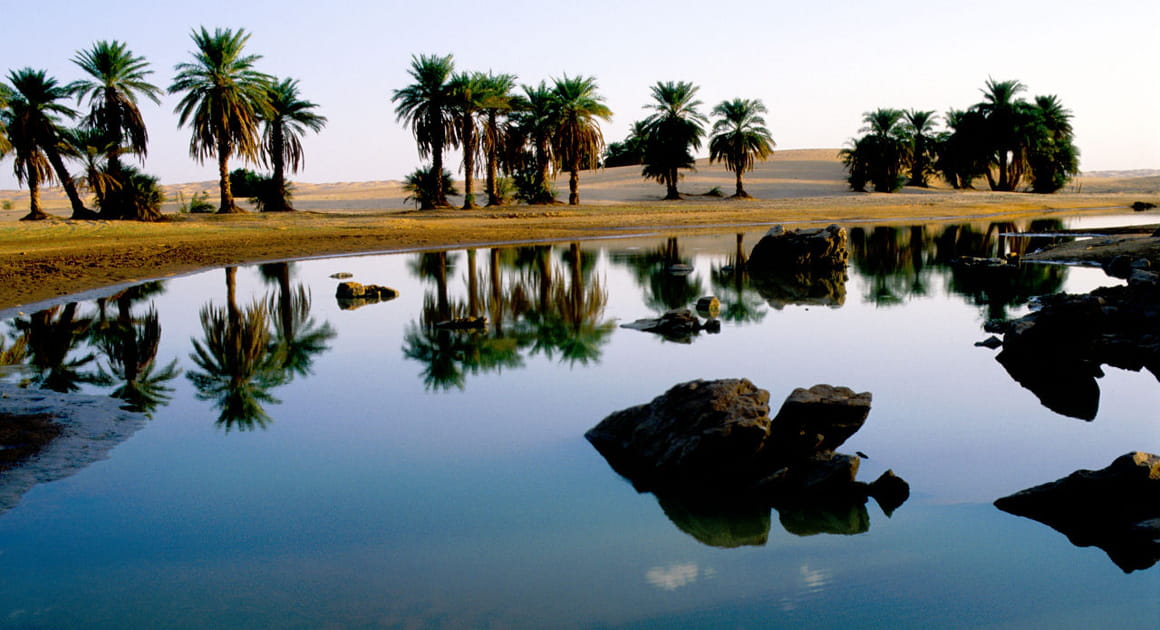Reflet dans une guelta de Mauritanie