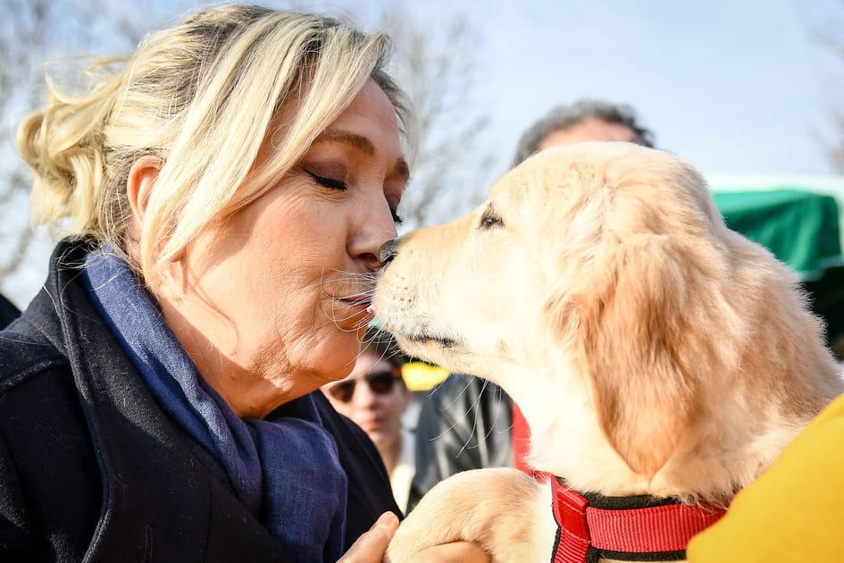 Marine Le Pen gaga