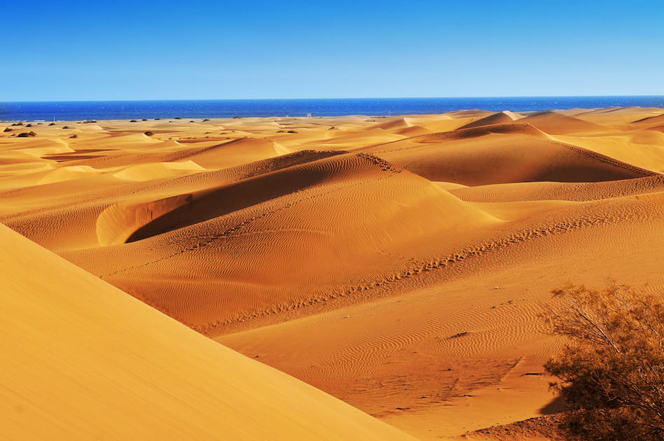 Les dunes de Maspalomas aux &icirc;les Canaries