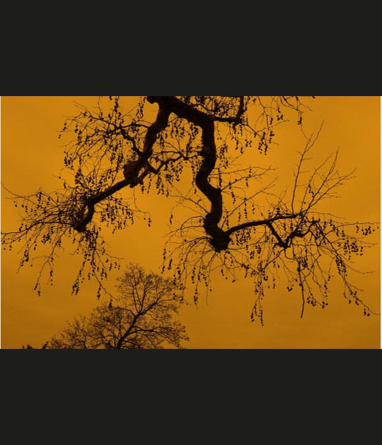 Graphisme sur fond jaune