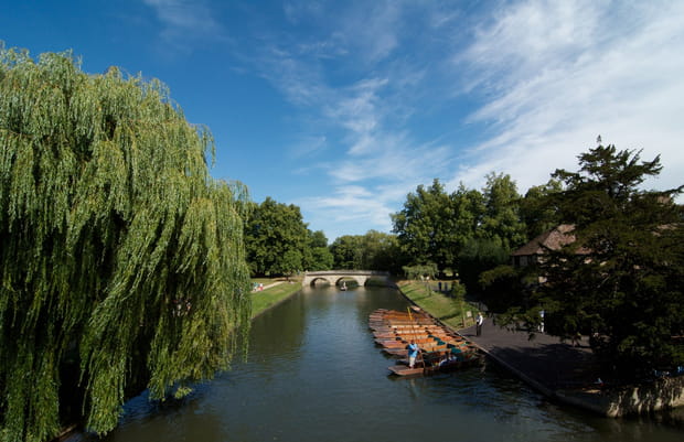Rentrée des classes à Cambridge