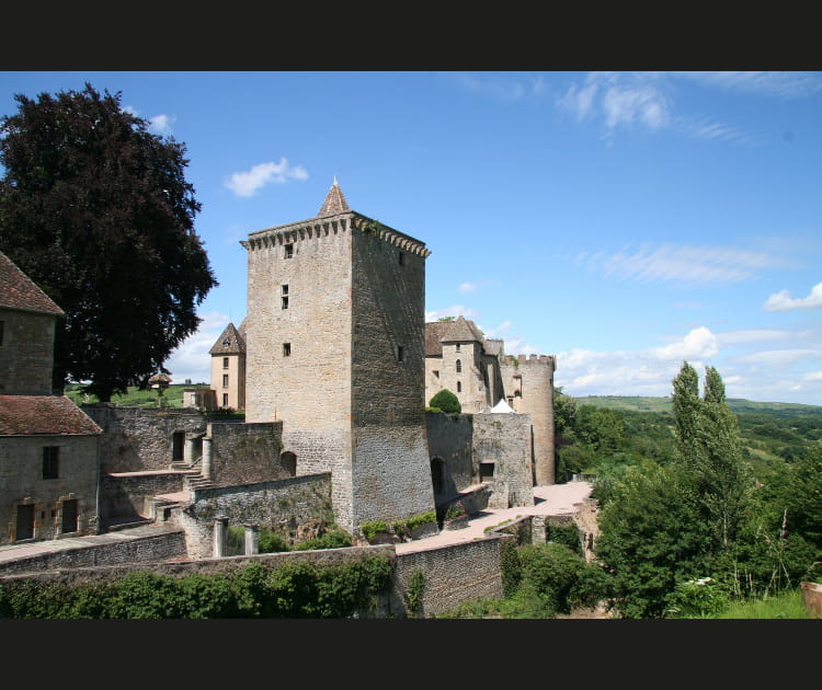 Le ch&acirc;teau de Couches