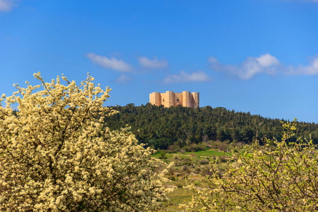 Le parc national d'Alta Murgia
