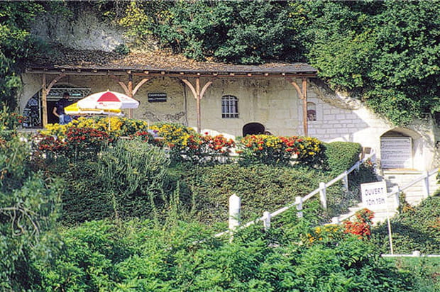 Musée des champignons