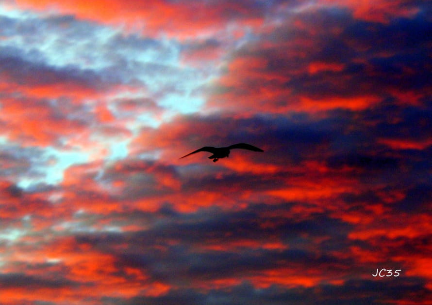 Bal de nuages