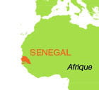 senegalpetit