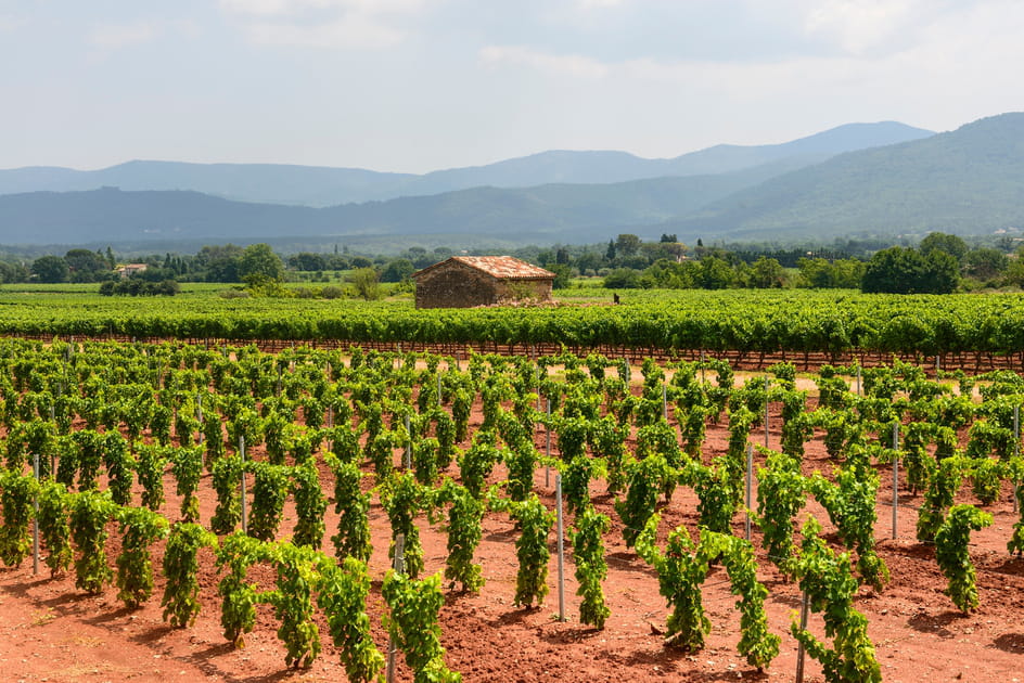 Le domaine viticole secret de George Lucas dans le Var