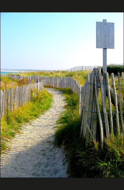 Pr&eacute;cieuses ganivelles