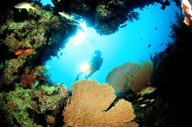 Couleurs des fonds marins