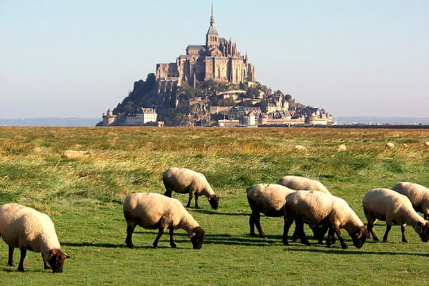 Prés-salés de la Baie du Mont Saint-Michel