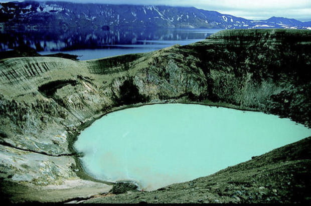 Le petit carète de Viti