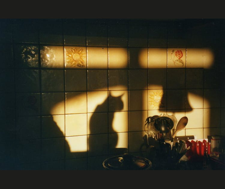 Dans la cuisine du po&egrave;te