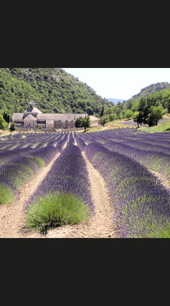 Le Luberon