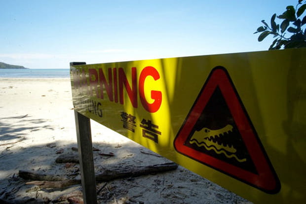 Attention aux crocos !