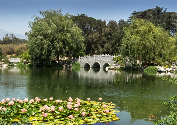 Le jardin de la villa Huntington en Californie