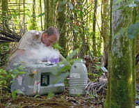 Sols contaminés : des plantes à la rescousse